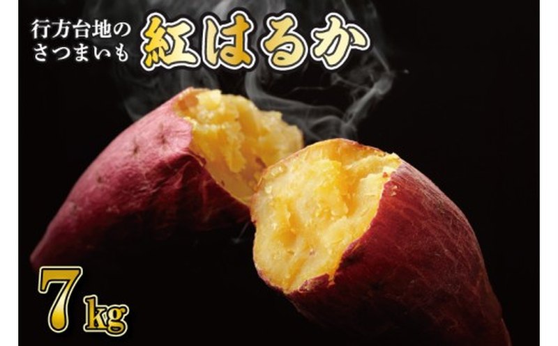 ふるさとチョイス人気No.1・行方台地の紅はるか