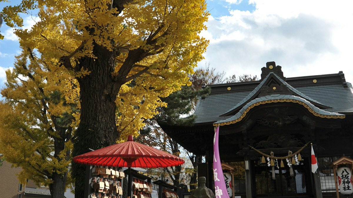取手八坂神社（取手市観光協会）